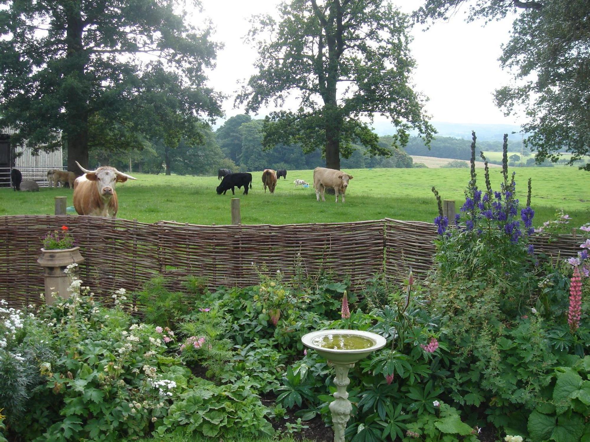 Bed and Breakfast Yew Tree Farm Eaton  Zewnętrze zdjęcie